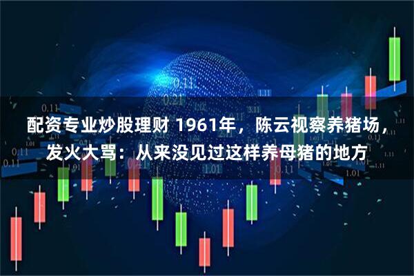 配资专业炒股理财 1961年，陈云视察养猪场，发火大骂：从来没见过这样养母猪的地方
